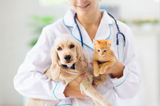 Veterinary Formulations