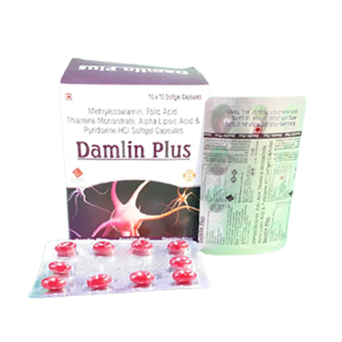 DAMLIN PLUS