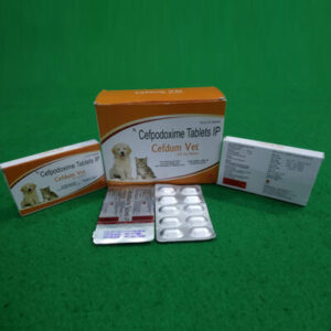 CEFDUM-VET-200-TABLETS-1