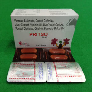 PRITSO-BOLUS