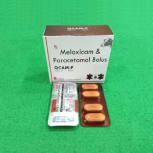 QCAM-P-BOLUS