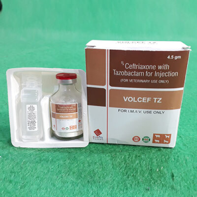 VOLCEF-TZ
