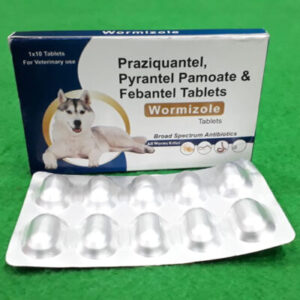 WORMIZOLE-TABLETS-1.10
