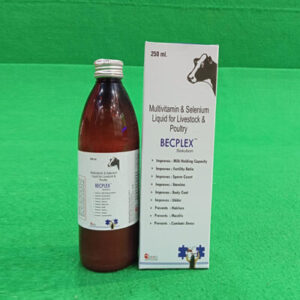 BECPLEX-SOLUTION-250-ML