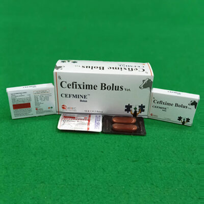 Cefmine Bolus