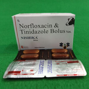 NISHIKA-BOLUS