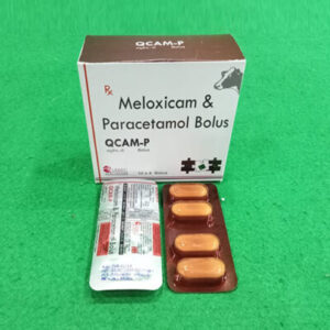 QCAM-P-BOLUS