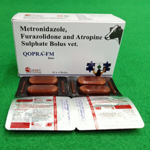 QOPRA-FM-BOLUS
