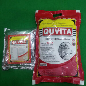 QUVITA-POWDER-BOTH-PACKING