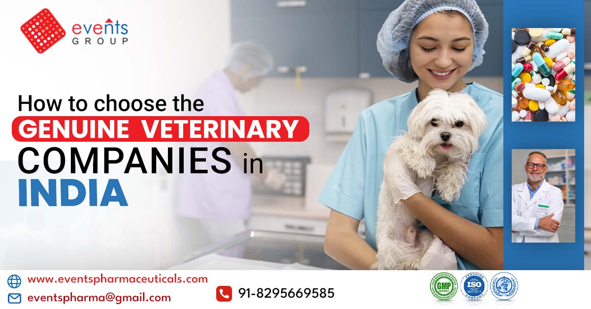 How to Select the genuine veterinary pharma PCD companies in India How to Select the genuine veterinary pharma PCD companies in India