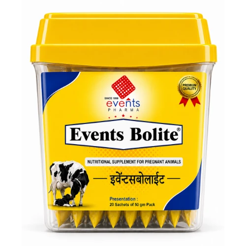 Events Bolite