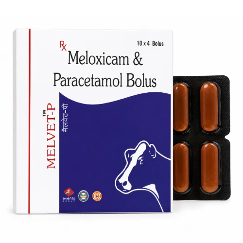 Melvet-P Bolus