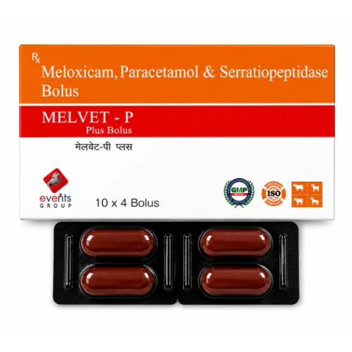 Melvet-P Plus Bolus