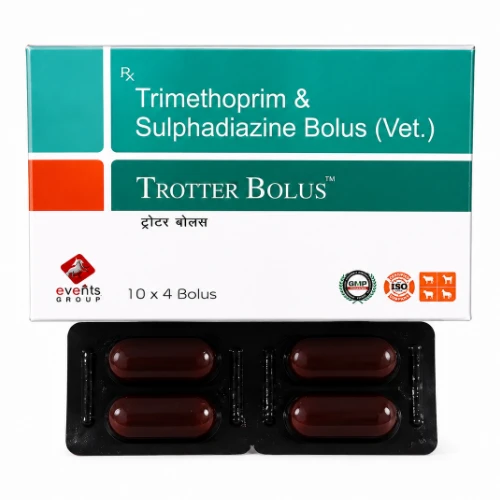 TROTTER BOLUS